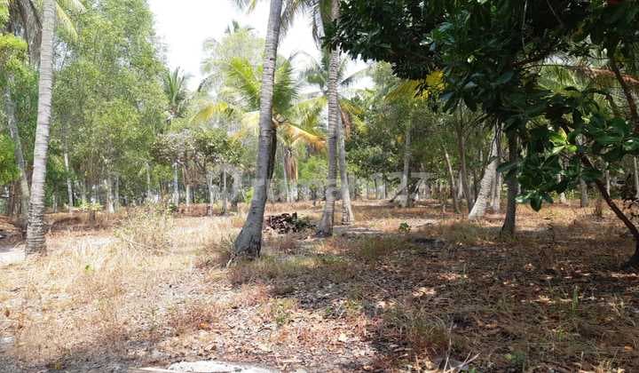 TOURISM LAND FOR SALE ON TIDUNG ISLAND - THOUSAND ISLANDS, JAKARTA