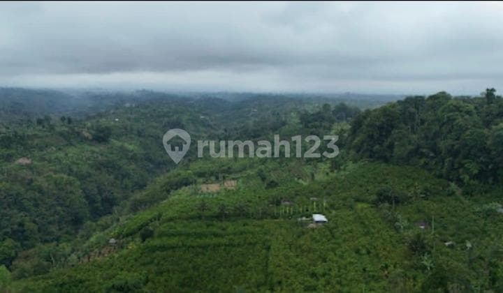 DIJUAL TANAH DI PAYANGAN BALI