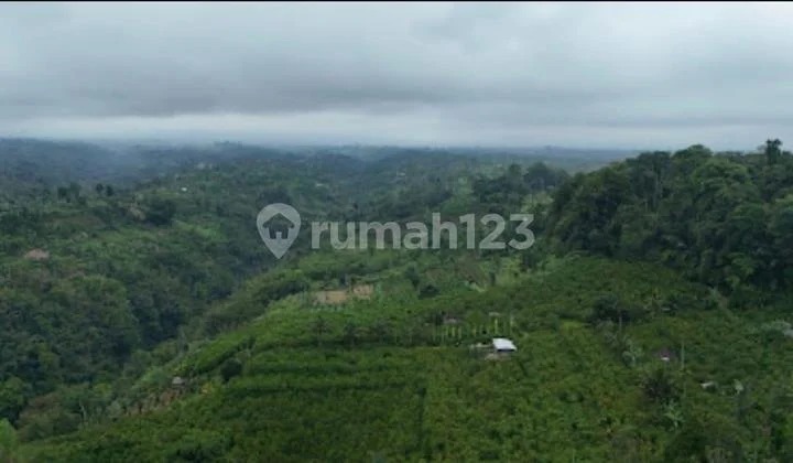 DIJUAL TANAH DI PAYANGAN BALI