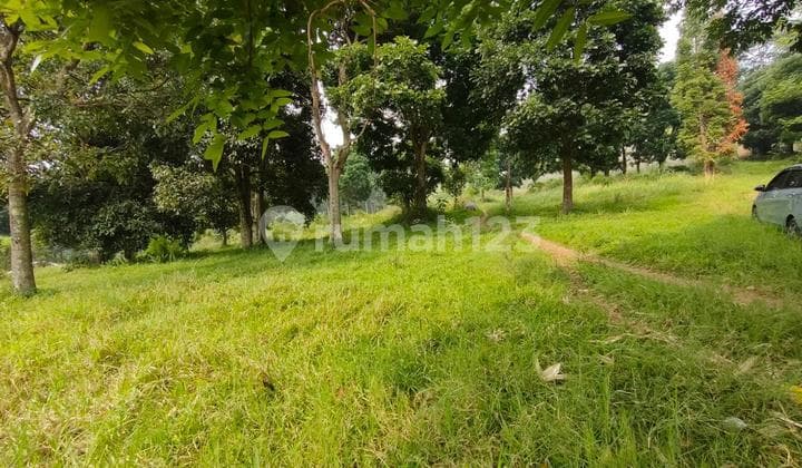 DIJUAL TANAH DI CARINGIN BOGOR