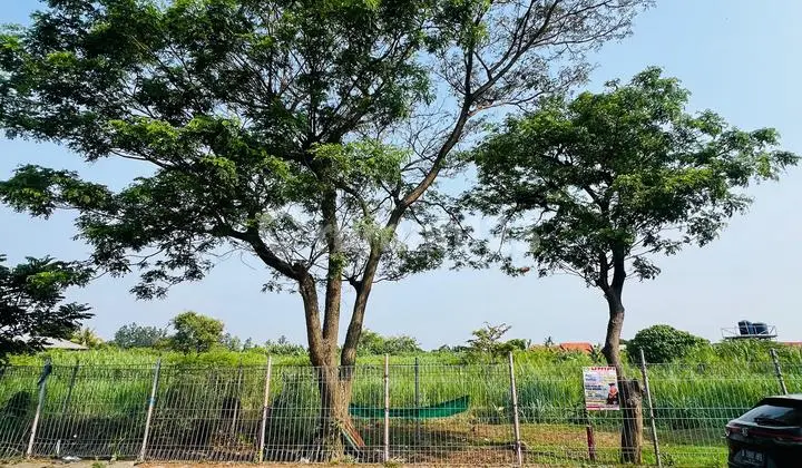 CHEAP LAND FOR SALE BEHIND SOEKARNO-HATTA AIRPORT TANGERANG