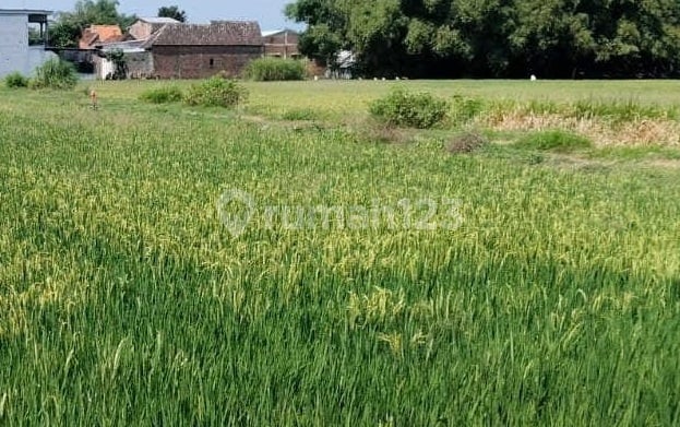 Dijual Tanah Raya Sumobito Mojoagung Jombang Ron.a2041