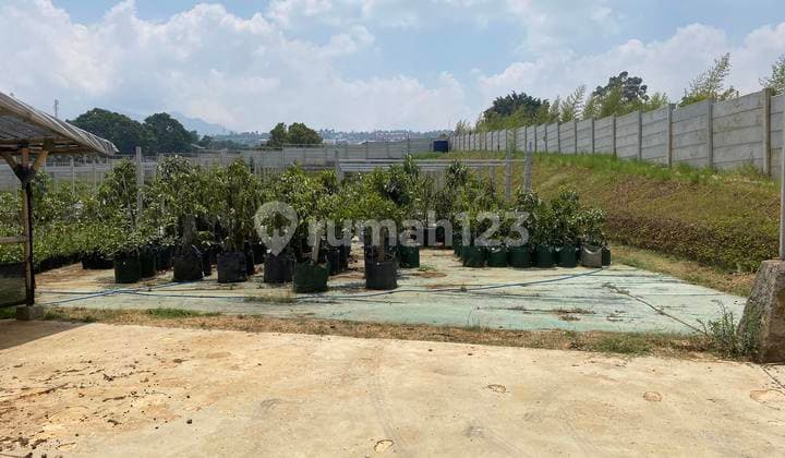 CIHANJUANG TANAH MATANG SIAP BANGUN