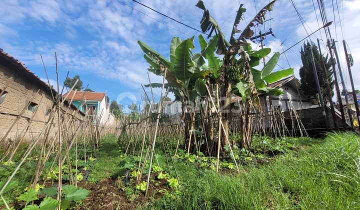Tangkuban Perahu Mainroad Tanah Murah Siap Pakai