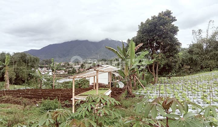 Kolmas Cimahi Tanah Murah Siap Bangun View Bagus