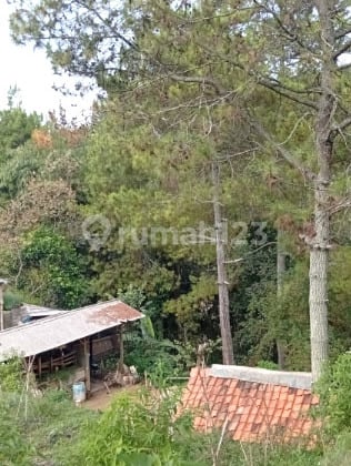 Dago Giri Tanah siap pakai dijual cocok untuk glamping dan usaha