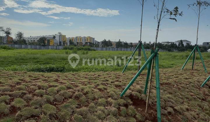 Bisa Cicil! Kavling Komersial Strategis PIK2 Boulevard 4.000M2 Sebelah MCD