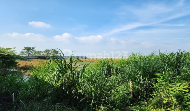 Dijual Tanah 2,15 Hektar di Karawang Strategis Tidak Kena Sawah