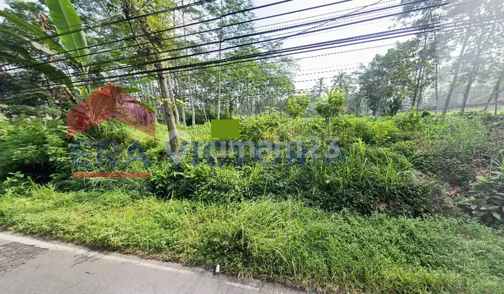 Promising Land Asset in a Developing Area with Complete Access
