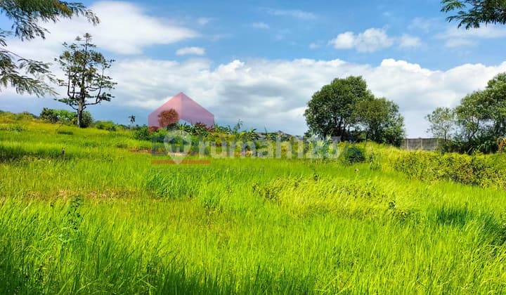 Tanah Sebrang Kebun Raya Purwodadi Cocok Untuk Ruko Oleh Oleh