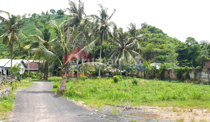 Jual Tanah Luas Posisi Belakang Batatu Resort Nusa Tenggara Barat