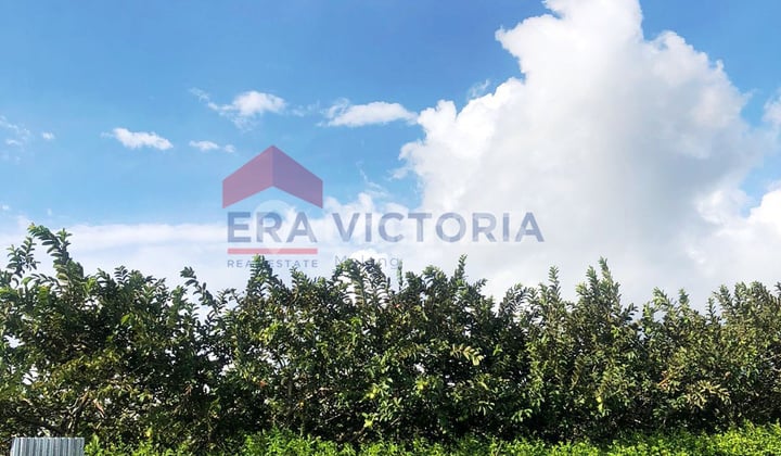 Dijual Tanah Komersil Kawasan Donowareh Karangploso Dekat Arhanud Dijual Tanah Komersil Kawasan Donowareh Karangploso Dekat Arhanud