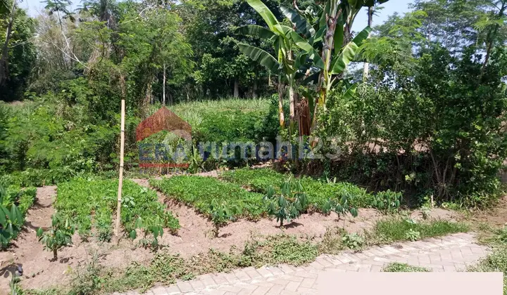 Dijual Tanah Hanya 2,5km Dari Poros Jalan Kota Malang