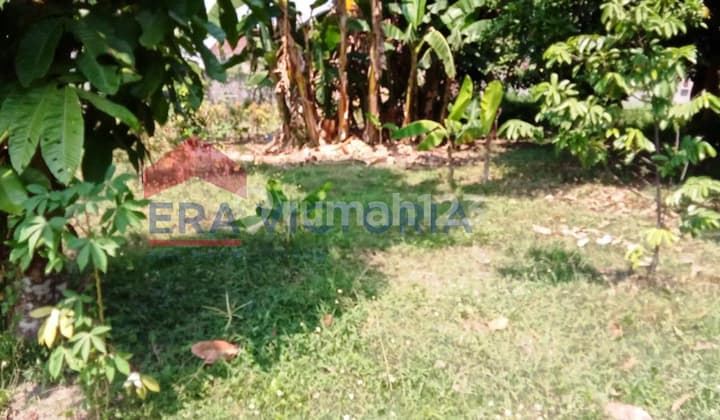 Dijual Tanah Dekat Smpn 1 Ngasem, Gtt Oleh oleh Kediri