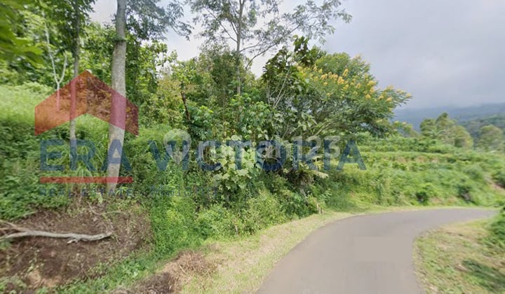 Tanah Jual Area Bandulan View Pegunungan Cocok Peternakan Ayam
