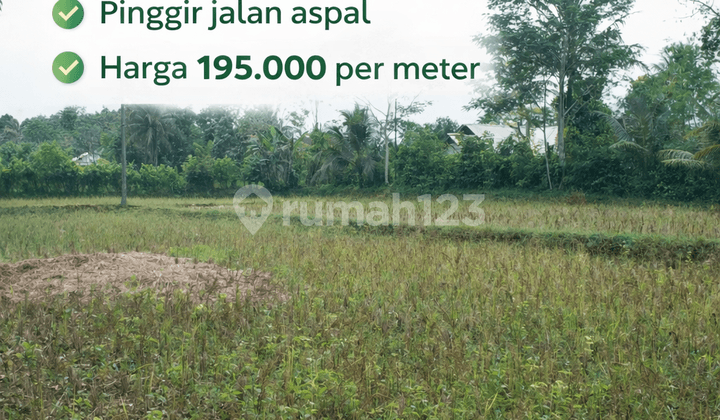 Tanah Murah SHM Sukabumi Surade