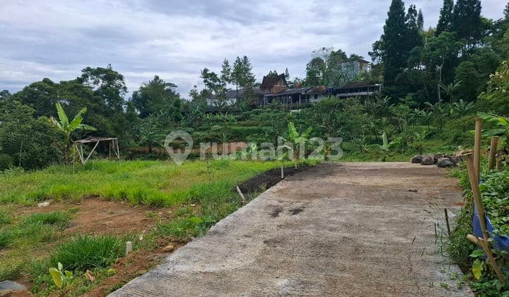 Tanah Murah Shm 400m2 Megamendung Puncak Bogor di Jl. Pesantren Lembah Arafah No. 140, Kuta, Megamendung, Bogor, Jawa Barat, Indonesia, 16770, Megamendung