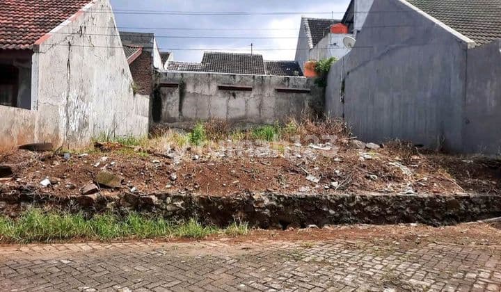 Tanah di Undip Tembalang Semarang Kota