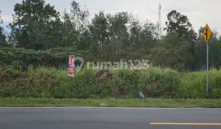 Tanah Pinggir Jln Raya Kurau . Koba. Cocok Buat Tempat Tinggal atau Usaha