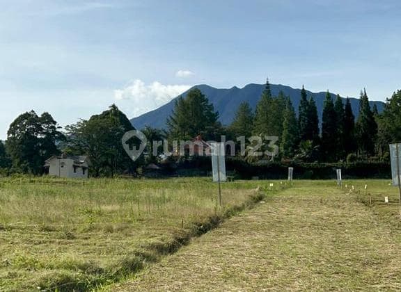 Jual tanah di megamendung siap bangun rumah atau villa