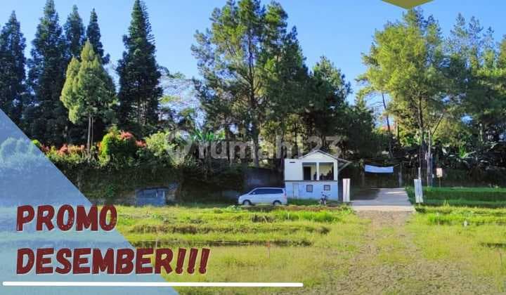 Jual Tanah Cocok Bangun Rumah Singgah Di Puncak Cisarua Bogor