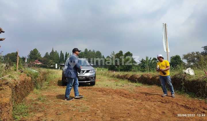 Jual Tanah Cocok Inves Untuk Masa Tua Siap bangun di puncak Bogor