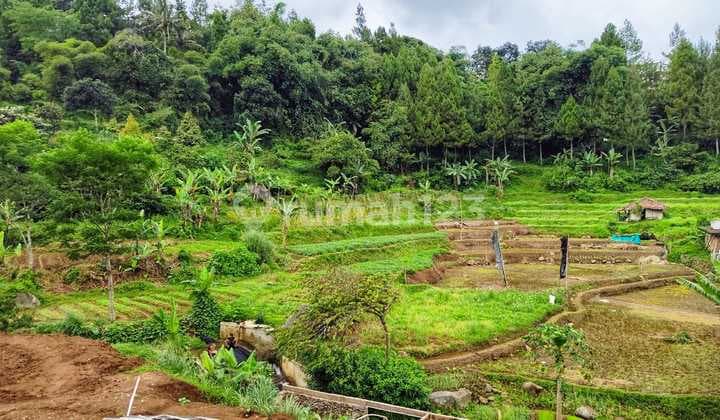 Land ready to build a villa at Puncak Cisarua Bogor.