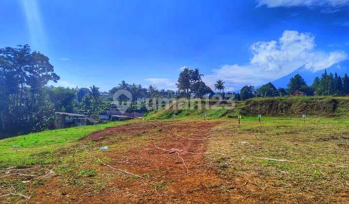 Jual tanah di megamendung alternatif puncak siap bangun