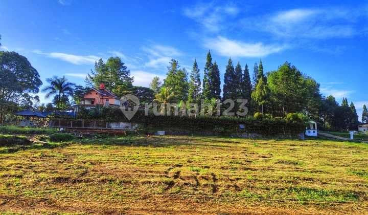 Jual tanah datar di puncak bogor cocok bangun villa dan rumah