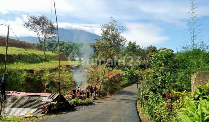 Tanah strategis siap bangun villa di puncak cisarua bogor