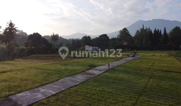 Selling vacant land ready to build villas and residential houses in Puncak.