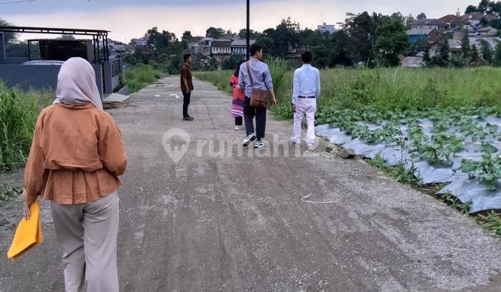 Jual tanah cocok bangun rumah peristirahatan di puncak bogor