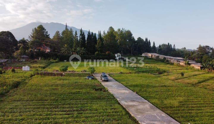Jual tanah strategis anti macet di puncak menuju taman safari