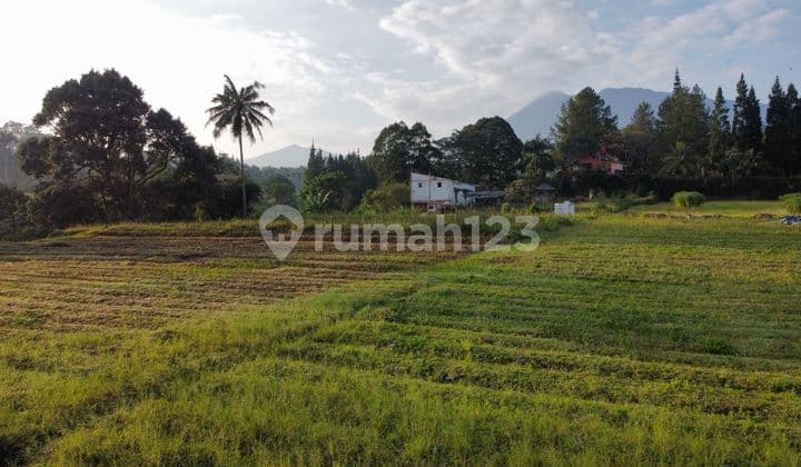 Land for sale in Megamendung, alternative route to Puncak.