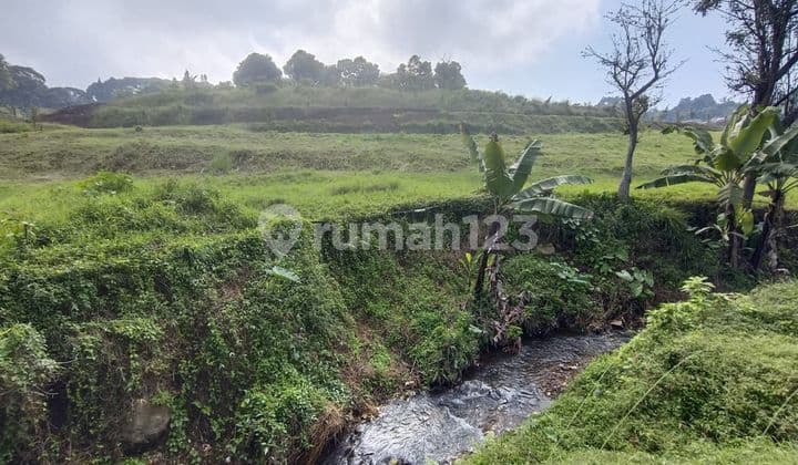 Tanah Kosong siap bangun di Puncak Dekat Dengan taman safari