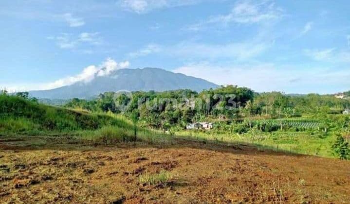 Selling land in Cisarua, Puncak Bogor.