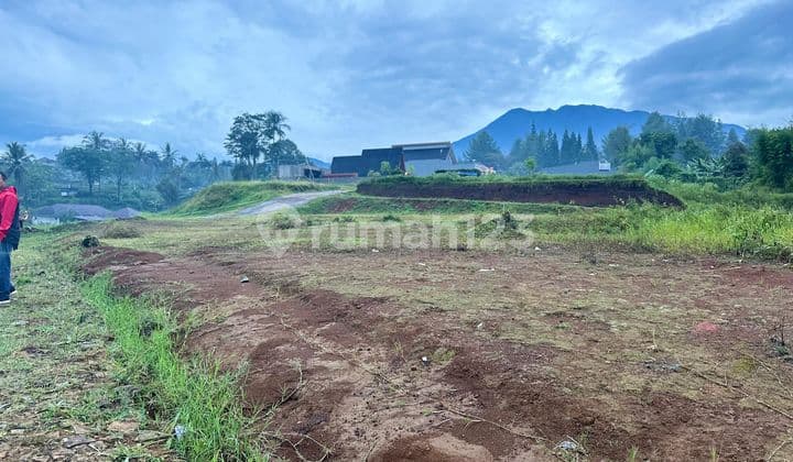Tanah datar siap bangun di Megamendung puncak siap bangun
