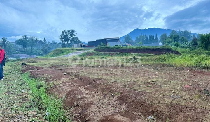 Tanah datar siap bangun di Megamendung puncak siap bangun