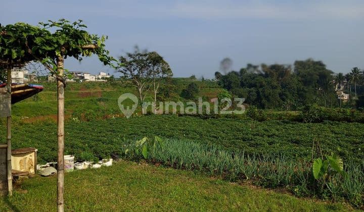 Jual tanah di Megamendung puncak Bogor cocok bangun villa