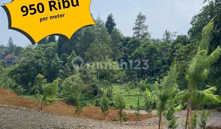 Tanah siap bangun di kawasan villa puncak bogor