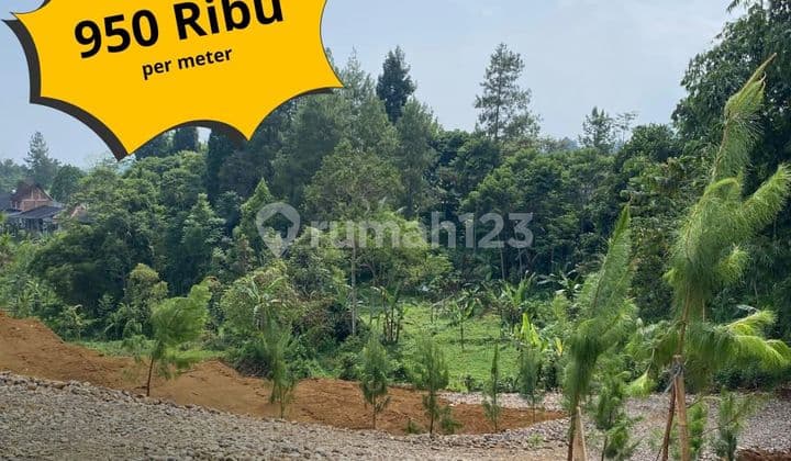 Tanah murah di puncak Cisarua Bogor cocok bangun villa