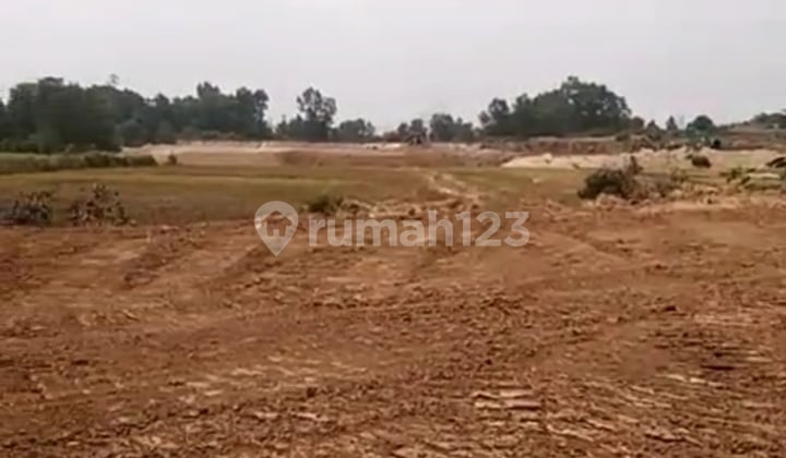 A273 Cheapest Industrial Land for Sale on Rangkasbitung Main Road
