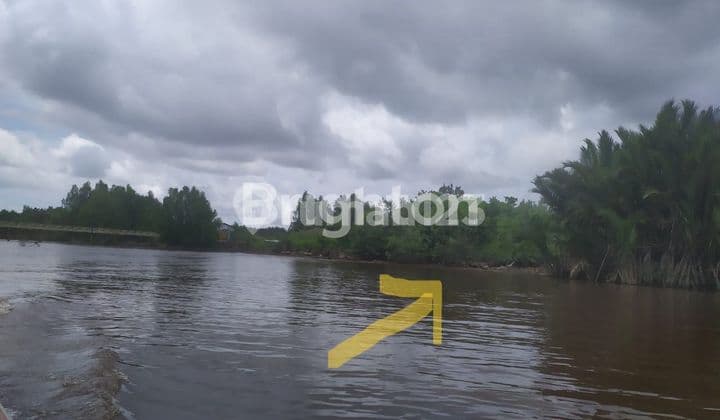 TANAH LAHAN 1.9 Ha DI PINGGIR SUNGAI KAPUAS LUPAK DALAM KALIMANTAN TENGAH