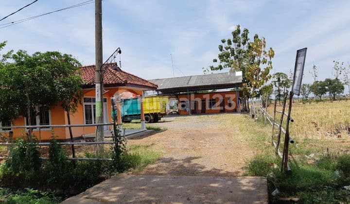 Dijual Tanah dan Sawah di Indramayu lokasi strategis