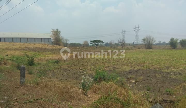 Strategic Land SHM area of 10,555m² at 0 Kedamean Main Road, Gresik.