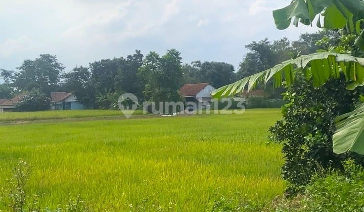 For Sale Land in Strategic Area Legok Tangerang