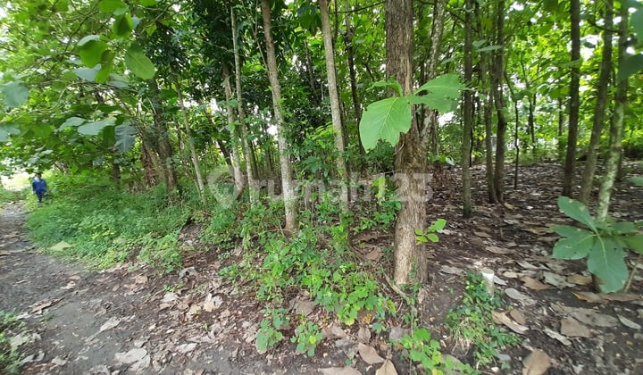 Tanah kosong 2kapling