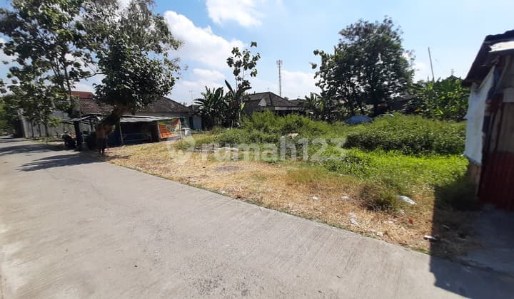 Tanah jogobondo palur