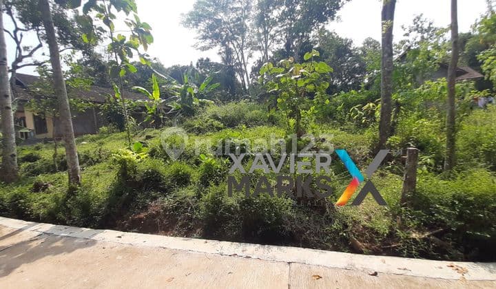 Village land with a foundation