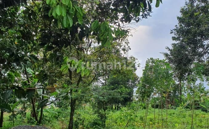 Dijual Tanah di Daerah Kayu Manis Tanah Sareal Kota Bogor